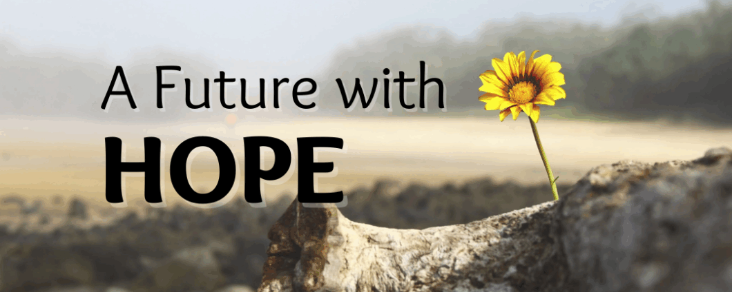 A Future with Hope. A single yellow flower grows from a cracked log in a desolate field.