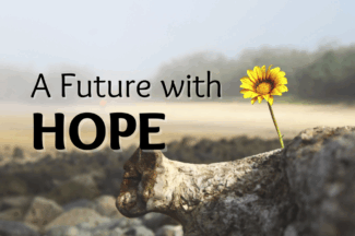 A Future with Hope. A single yellow flower grows from a cracked log in a desolate field.