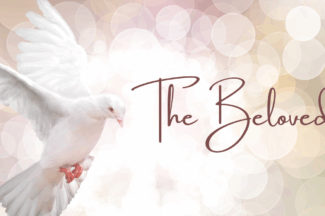 A white dove in flight against a light colored, abstract background. Text: "The Beloved"