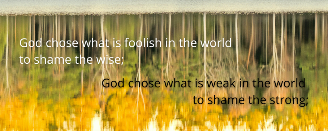 God chose what is foolish in the world to shame the wise; God chose what is weak in the world to shame the strong;