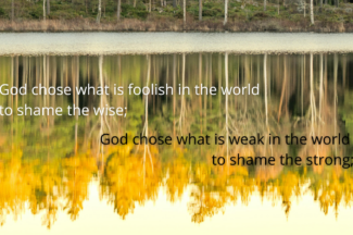 God chose what is foolish in the world to shame the wise; God chose what is weak in the world to shame the strong;