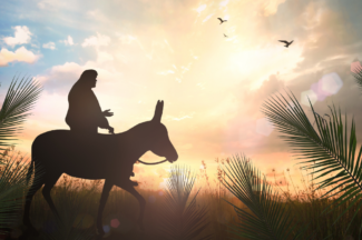 Thumbnail for the post titled: March 29, 2026 | Palm Sunday