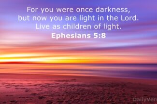 Ec8b4326df5317ac1ee01d4927003909