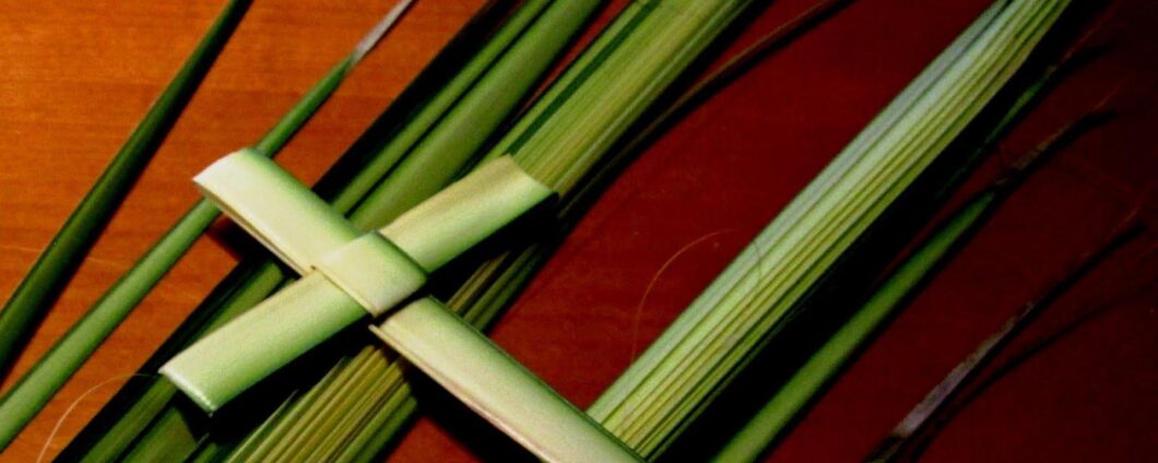 Palm sunday9.