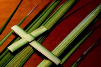 Palm sunday9.